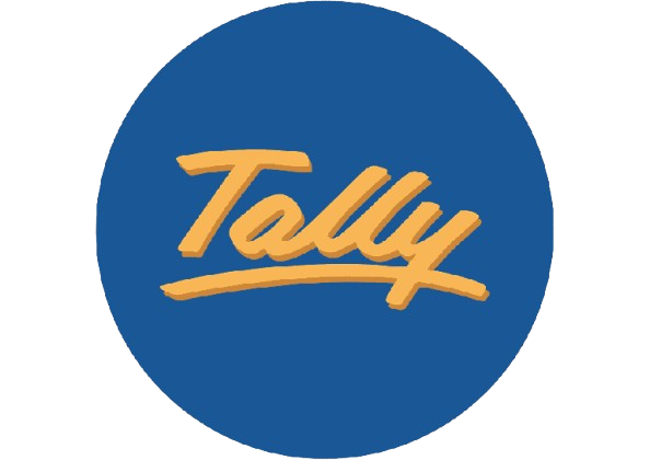 Business Accounting Course at Big Brains Computer Institute Phagwara