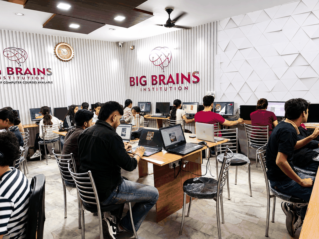 Big Brains Computer Institute Phagwara Logo